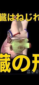 [Heart Shape] The heart is twisted!