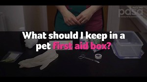 Have you got a pet First Aid Kit? Just like us, pets can get small bumps and scrapes, so it's important to learn basic first aid skills. Here's some simple tips on what you need in your kit, and how to treat little doggy accidents from our vet, Rebecca. But remember, if you're worried about your pet, always get advice from your local practice. | PDSA