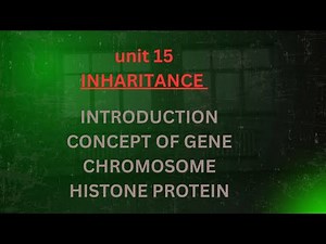 What Are Genes? | Introduction to Inheritance | Class 12/10/11 Biology | NEET Basics