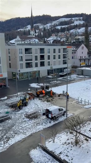 Das Schicksal jedes Weihnachtsbaumes! | Peter Bachmann