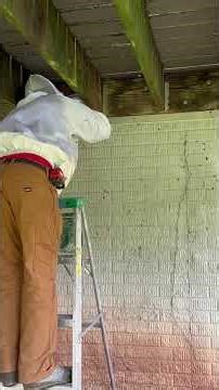 🐝 Live Honey Bee Cutout & Relocation | Gainesville, VA Basement Hive Removal 🐝