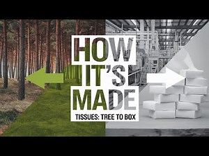 How It's Made: Tissues - From Tree to Box#TissuePaper#HowItsMade#TissueProduction #Manufacturing