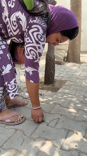 1.5M views · 10K reactions | Aaj neeche gire aamoo se banaya aamchoor powder #dailyvlogs​ #minivlog​ #shortvideo​ #dailyroutine | Challanges | Facebook