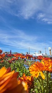 ¡Río Grande cada vez más linda! 🌺🌼🫶 | Municipio de Río Grande