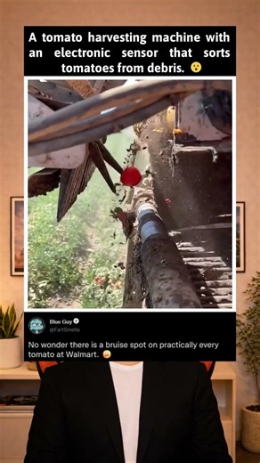 The impressive machine that can sort out tomatoes when getting farmed