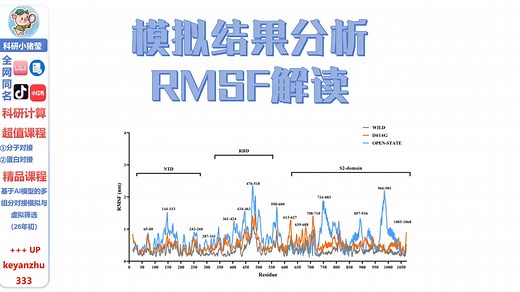 模拟结果分析RMSF解读