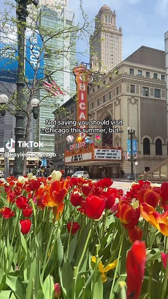 Experience Summertime Chi in Chicago ☀️