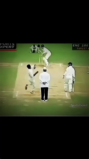 Best Moments from Big Bash Cricket Highlights