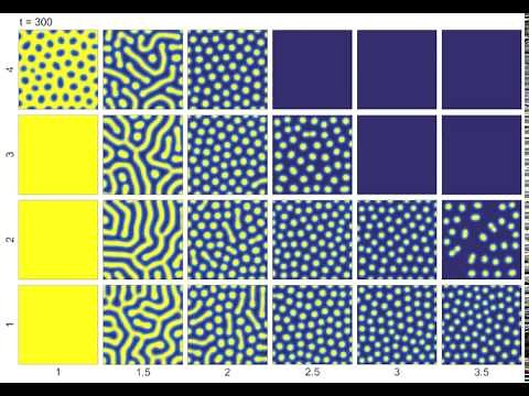 Turing patterns in a reaction-diffusion model