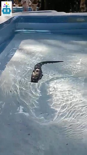 88 reactions · 14 shares | 烙STAGE DE NOEL !!!  A SOLLIES-PONT  Offrez une initiation à la robotique, un perfectionnement ou à la construction de drones aériens. 烙 - du lundi 22 au mercredi 24 décembre 2025 - du lundi 29 au mercredi 31 décembre 2025 Pour nous contactez ou inscrire votre enfants : contact@ecole-des-robots.fr  ou ☎️0666909108.☎️ | Ecole des Robots de Solliès-Pont | Facebook