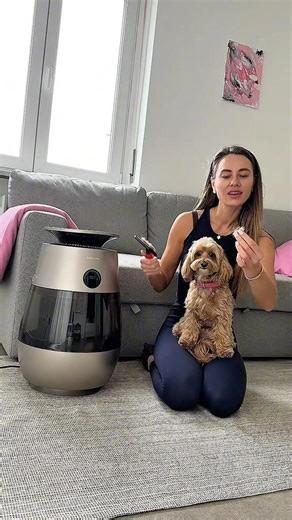 Too much hair around? 🐶💨