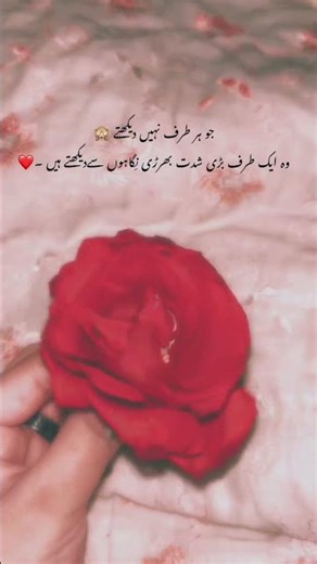 Urdu_Shayari.18✨🕊️#urdu_shayari #urdushayari #urdushayarisad #like #share Comment and Support
