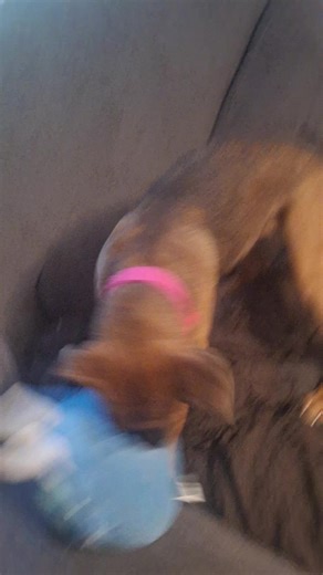 Amanda Holt (@amandaholt44)’s videos with original sound - Sound Shares ✨