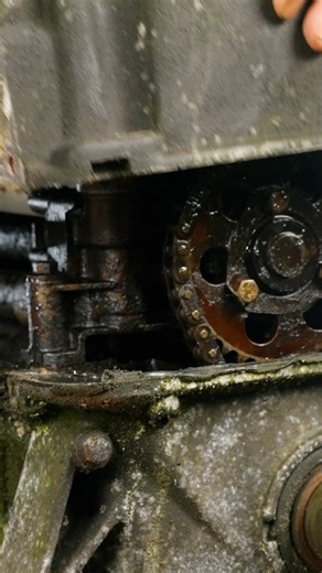 1.5M views · 5.5K reactions | What happens when you leave an engine outside for over a decade  #engine #rebuild | DRIVETRIBE | Facebook