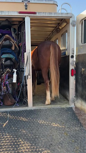 Daily trailer loading progression | Scout's Trail