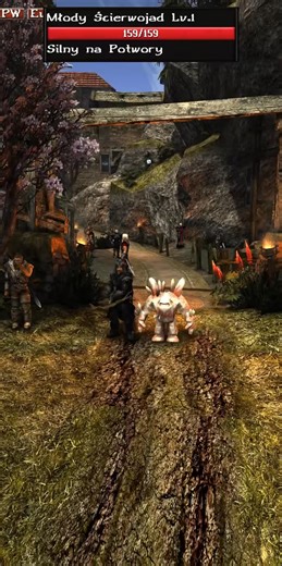 Gothic 2 Online: Wyposażenie i Ulepszanie! #axyl #mmorpg #mmo #game #gothic2 #gothic2nk #gothic #online #tibia #metin2 #viral #huge #rpg #games #trailer | Axyl Remastered