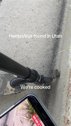 Hantavirus update. he dies 2 and a half minutes later dw #hantavirus #hantavirusupdate #scary #fyp #xyzbca