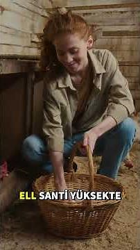 ❗ If your chicken isn't laying eggs, this could be the reason! (10 Poultry Farm Mistakes)