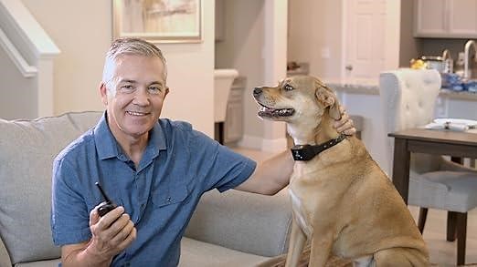 PetSpy P620 Remote Dog Training Collar Review