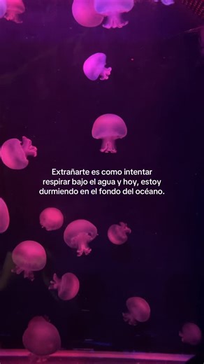 𝖘𝖎𝖓 𝖕𝖆𝖑𝖆𝖇𝖗𝖆𝖘 on Instagram: "💔 #triste #tristeza #dolor #corazonroto #soledad #llorar #meextrañas #desamor #teextraño #teperdí #nostalgia #momentostriste #emociones #sentimientos #frasesdelavida #frasestristes #frasesdeamor #poesíaoscura"