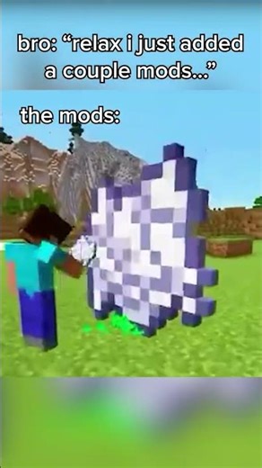 When Your Bro Decides To Add Some Mods To The Minecraft Server...