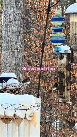 Snow much fun 💕 #snowdays #snowman #snowstorm #snowmuchfun