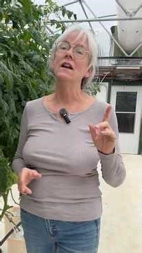 Humidity nightmare after the flood #gardening