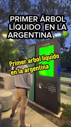 Árboles líquidos en Buenos Aires: ¿Una solución innovadora contra la contaminación?
