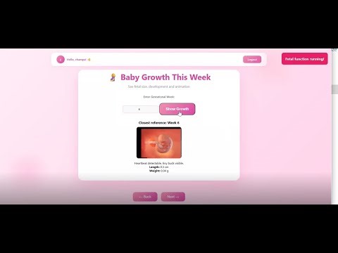 Maternal Health Monitoring & Prediction System