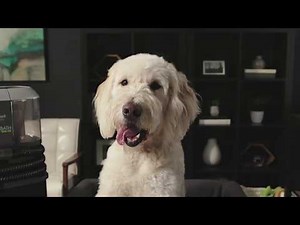 BISSELL BARKBATH Dual Use: Emptying the Dirty Water Tank