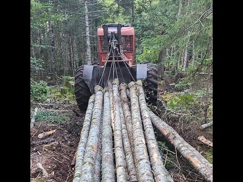 Timberjack 208E Yarding Wood