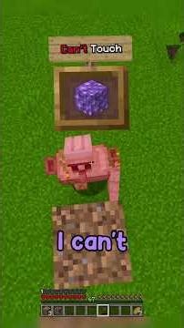 Minecraft, But I Can’t Touch Your Random Block…