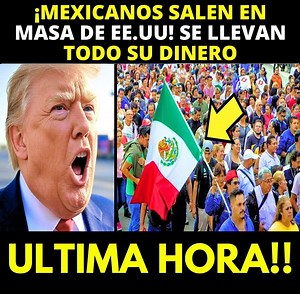 1.5M views · 43K reactions | ¡YA NO AGUANTARON! MEXICANOS DEJAN EE.UU. Y REGRESAN CON TODO — ADIÓS AL SUEÑO AMERICANO Entre miedo, orgullo y esperanza, familias mexicanas cierran ciclos en EE.UU. y regresan a su país. Lo hacen con todo lo que pudieron llevar y un mensaje claro: “México nos necesita, y aquí sí valemos.” El fenómeno crece. | Delaney Patrick | Facebook