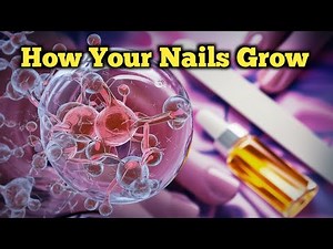 A 3D Exploration of Nail Growth / Nail Care Tips