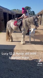 20K views · 398 reactions | ENTERED FOR BRECON 16th JULY ❗️Lot 195...