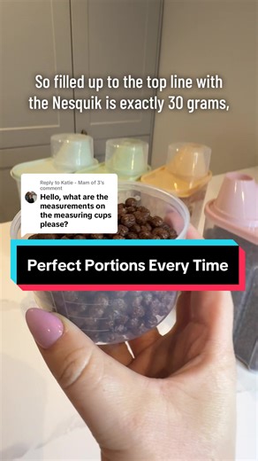 Organized Kitchen Storage: 3 Dry Food Containers Guide