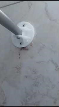 Curved rod for shower curtain fitting, best at motel