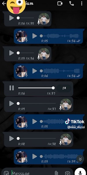 back with another banger unfinished vn prank 2.0😭#unfinished #tiktokindia #prank