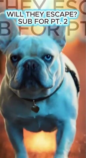 The Moment Everything Goes Wrong for the Squad 🚨#shorts #actionpets #survival