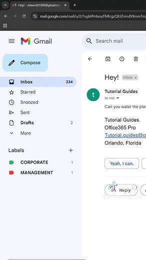 Mastering Task Delegation in Outlook Emails