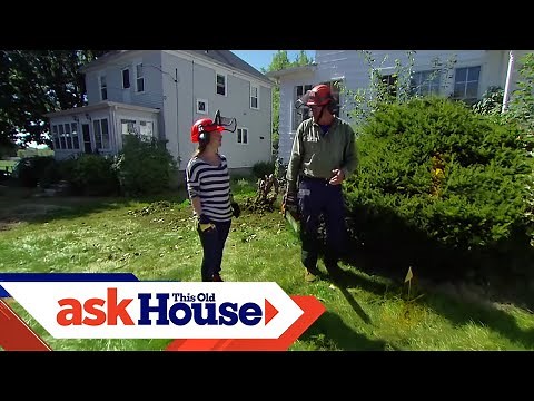 How to Remove Overgrown Foundation Shrubs | Ask This Old House