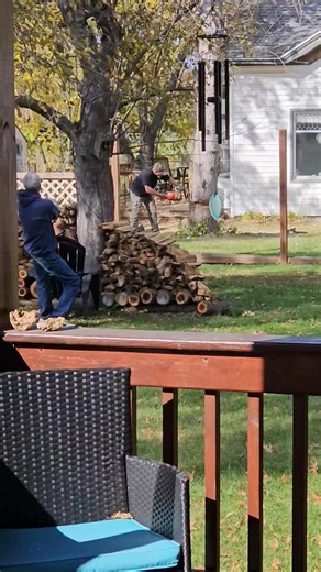 And Tree Down!😋 Thank You Barry Fisher! | Marcia Kelly