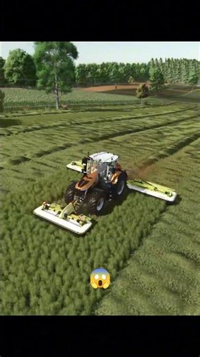Mowing the Lawn with a Tractor 🚜🌱