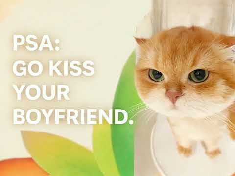 Go Kiss Your Boyfriend. (PSA)