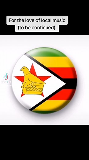 For the love of Zim local music. Please note this is just a work of art | Fungai Superlady Jayaguru