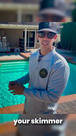 Trees can make your pool look beautiful