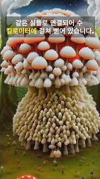 지구 최대 생명체, 사실 버섯이라고 ! 45초 과학쇼크 #버섯 #세계최대생명체 #Armillaria #균사 #과학쇼츠 #숲생태계 #과학상식