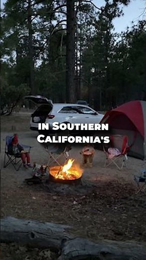 Forest Solitude at Crab Flats Campground (CA)