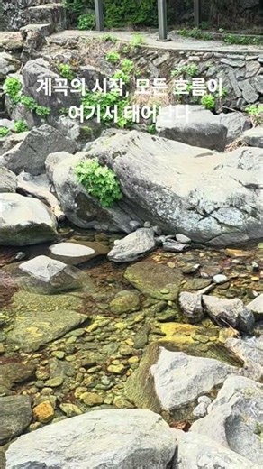 2026년 5월 5일