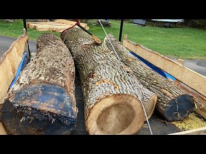 Lift Arch Trailer Logging in Suburbia, Moving 2 Tons of Poplar Wood Logs